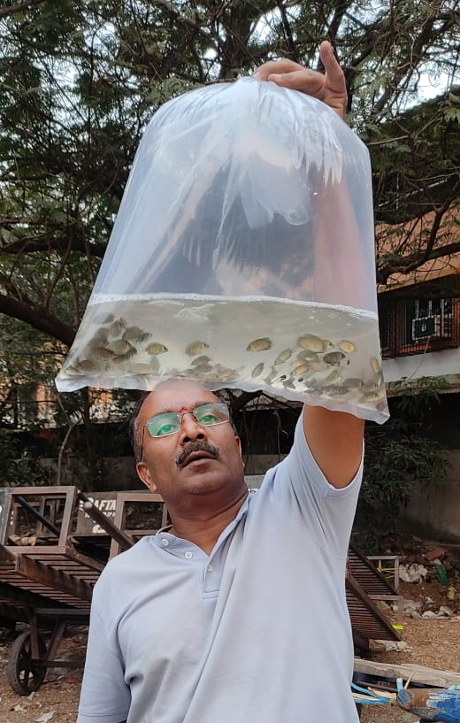 Consultancy Services