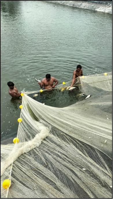 Fish Farming Setup Support
